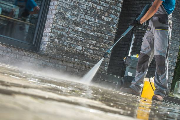 Best Driveway Pressure Washing  in Williamsport, PA