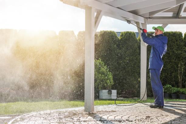 Best House Exterior Washing  in Williamsport, PA